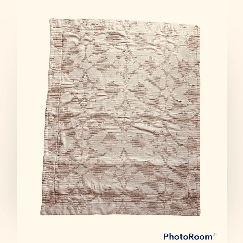 2 Pottery Barn textured pillow shams